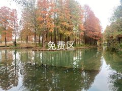 -西溪国家湿地公园