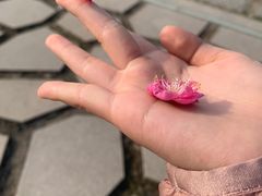 -南京市江宁方山