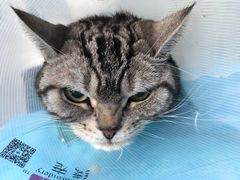 -康乐宝动物医院