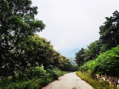 -北京西山国家森林公园