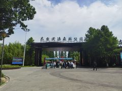 -黄海国家森林公园