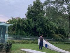 -成都南湖公园