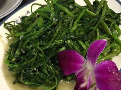 -美奈小馆·越南料理(福田星河COCO Park店)