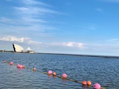 -碧海金沙