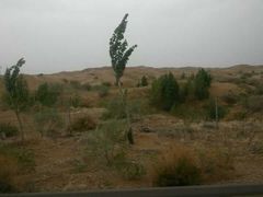 -亿利库布其七星湖沙漠生态旅游区