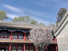 -麦当劳(欢乐谷店)