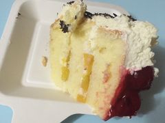 -维尔纳斯·生日蛋糕·动物奶油冰淇淋蛋糕(六里桥店)