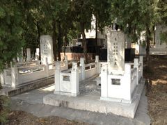 -北京鹫峰国家森林公园