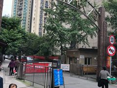 -柴务处·柴犬主题狗咖