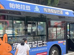 -帕帕拉兹宠物(亚洲旗舰店)