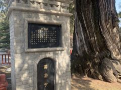 -黄帝陵
