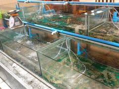 -拉威海鲜市场