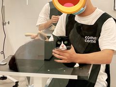 -comecome来吧宠物(奥克斯中心店)