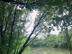 -西溪国家湿地公园