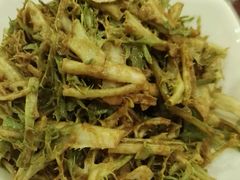麻酱苦菊-大眼锅贴水饺(河东店)