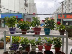 -白老大羊杂碎稍麦