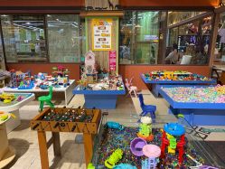 -卡通尼·Safari非洲探索乐园·生日会(金桥国际商业广场店)