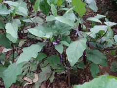 -敬亭山风景名胜区