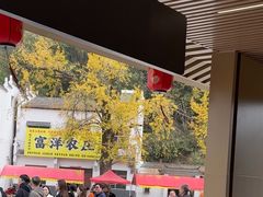 -千年银杏谷文化旅游区