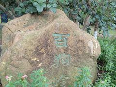 -番禺大夫山森林公园