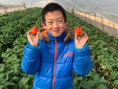 -小鱼草莓采摘园农家乐·小鱼餐厅