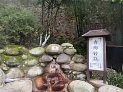 -三江森林温泉度假区