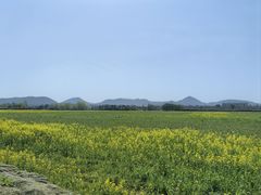 -良渚古城遗址公园