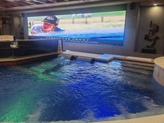 -碧中海汤泉汗蒸酒店