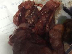 -佳怡动物医院·平价24小时·猫专科骨外科