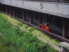 -龙潭水乡