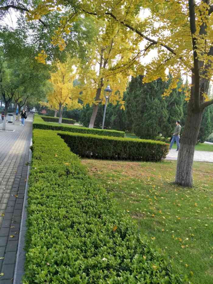 美术馆街心公园