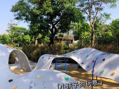 -顺峰山公园