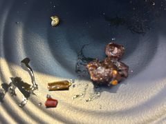 -醉人椒麻辣香锅(上地华联店)