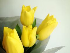 -植物学家的女儿(北马道巷店)