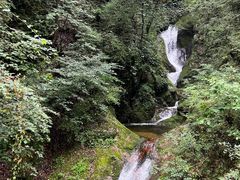 -牛背梁国家森林公园