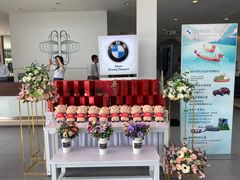 -南充通源宝马4S店(高坪店)