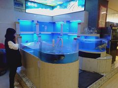 -金彤川菜(西稍门店)
