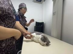 -思琪宠物医院(昆山花桥店)