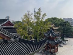 -上海东林寺(金山区)