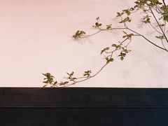 -小巨场咖啡