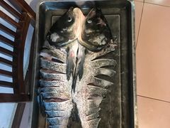 -姥家大锅台水库渔家