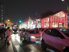 -龙抄手(春熙路总店)