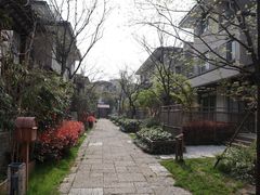 -田园东方蜜桃村的田野营地
