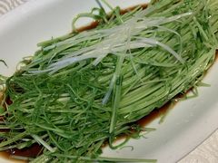-樽宴酒楼·地道川菜·品质宴请