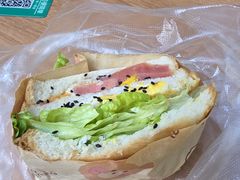 -西双版纳原始森林公园