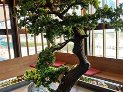 -松子料理(亮马桥店)