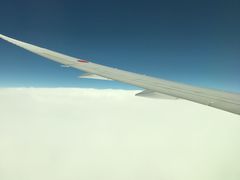 -全日本空输株式会社(上海办事处)