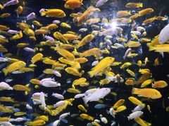 -成都浩海立方海洋公园