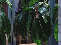 -VOYAGE COFFEE(杨梅竹店)