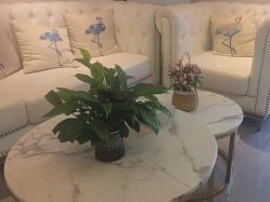 -紫琪尔·匠心连锁·胸部护理养护